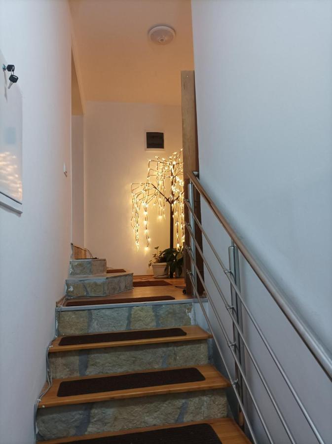 Apartmani Mladenovic Kijevo Екстериор снимка